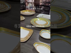 Artículos de mesa de melamina de color blanco personalizados Artículos de hotel de melamina de alta calidad